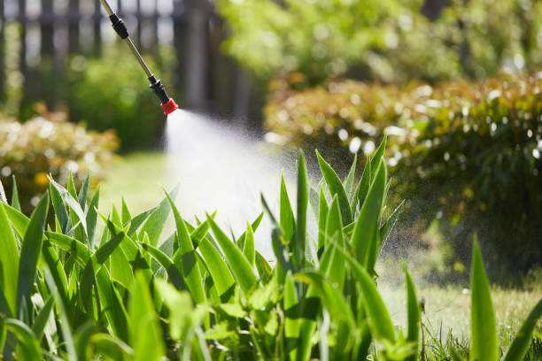 24/7 Emergency Wasp Removal experts in Westgate, FL