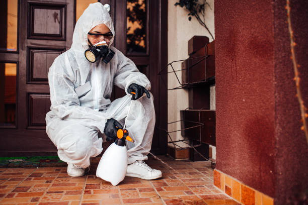Reliable Wasp Removal contractor in Westgate, FL by Show Me Pest Control